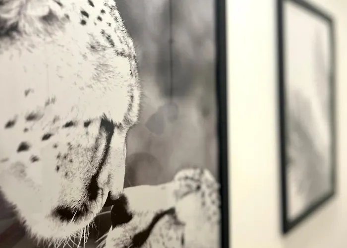 I Giustiniani A Due Passi Dall'acquario