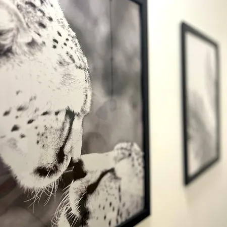 I Giustiniani A Due Passi Dall'acquario